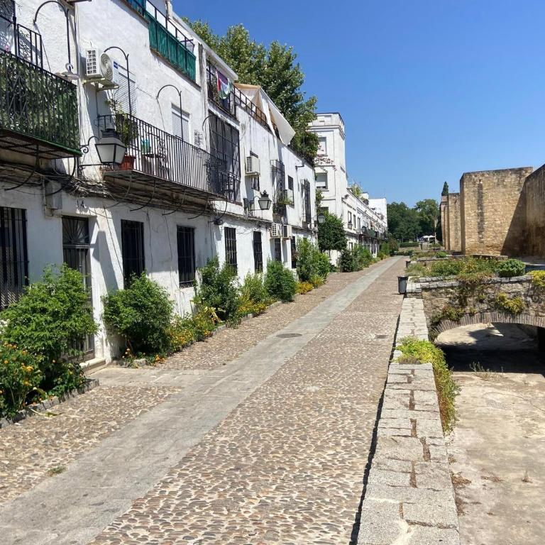 Casco Historico Muralla y Arroyo Córdoba - Appartamento - 2