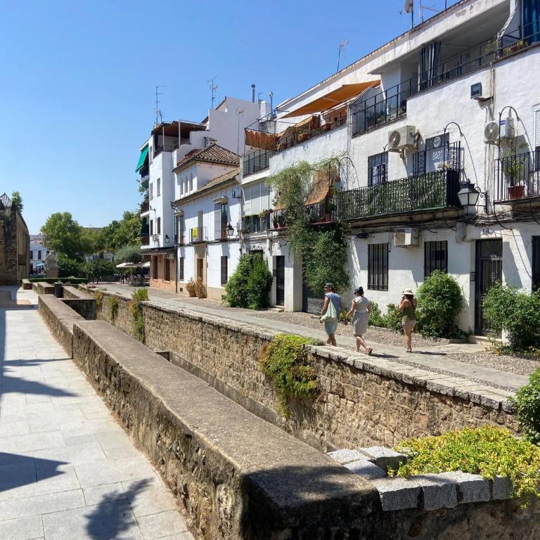 Casco Historico Muralla y Arroyo Córdoba - Appartamento - 33