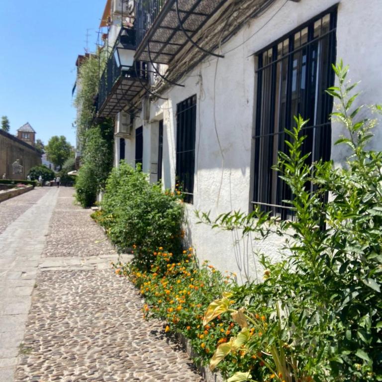Casco Historico Muralla y Arroyo Córdoba - Appartamento - 34