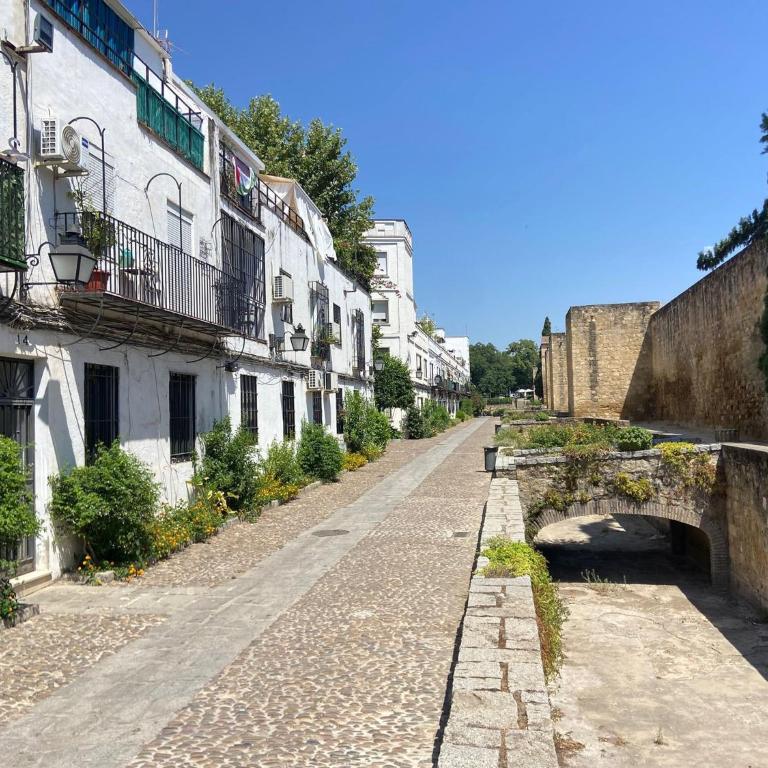 Casco Historico Muralla y Arroyo Córdoba - Appartamento - 35