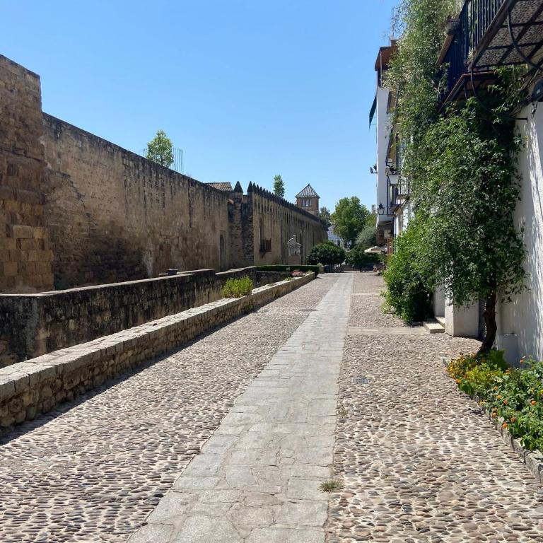 Casco Historico Muralla y Arroyo Córdoba - Appartamento - 41