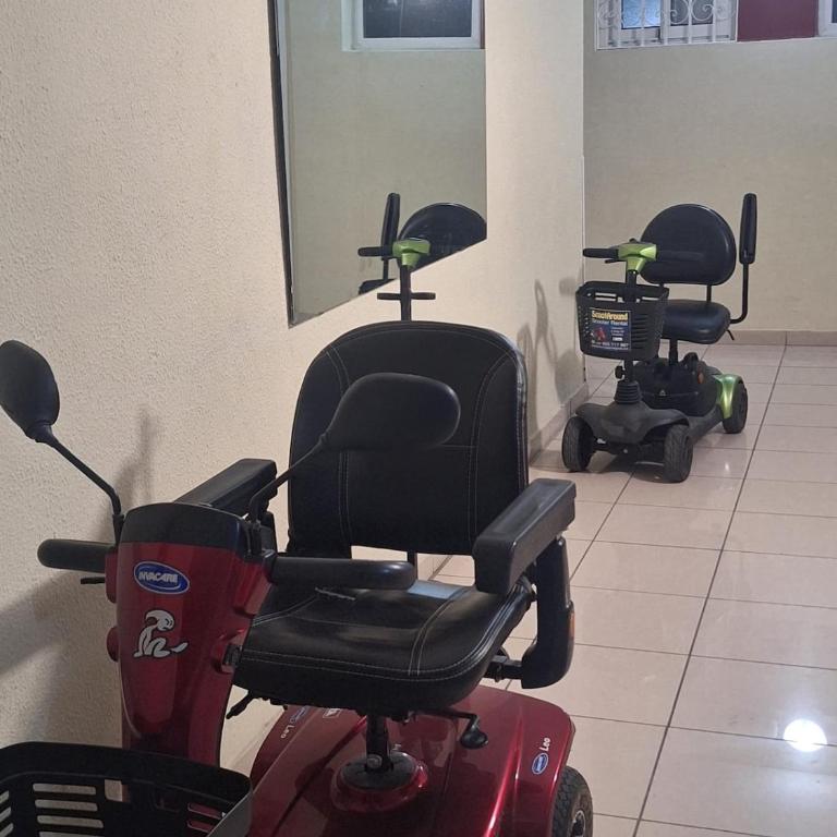 Nice newly renovated 1-bedroom apartment - One-Bedroom Standard Apartment - 35