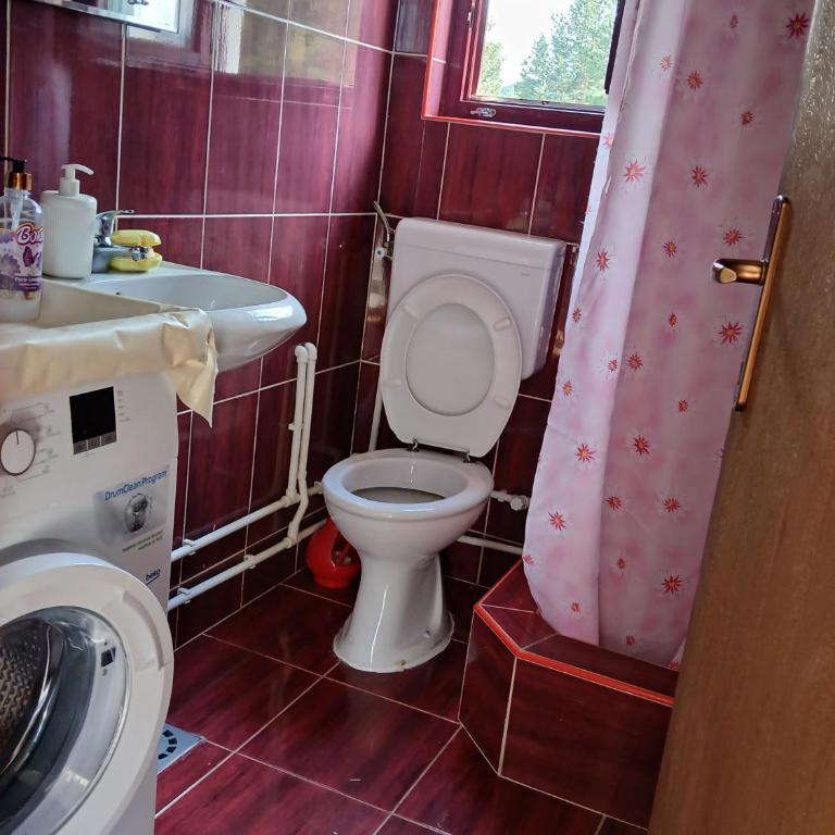 Holiday Home Star Žabljak - Dvokrevetna Soba sa Bračnim Krevetom i Pogledom na Planinu - 10