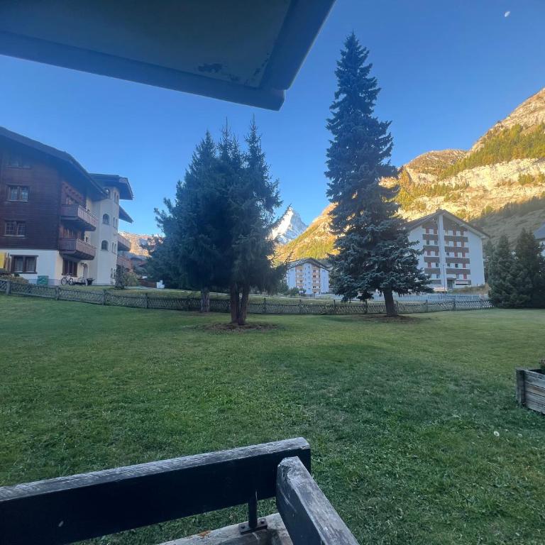 Cosy Modern Alpine Residence - Apartamento de 1 dormitorio - 2