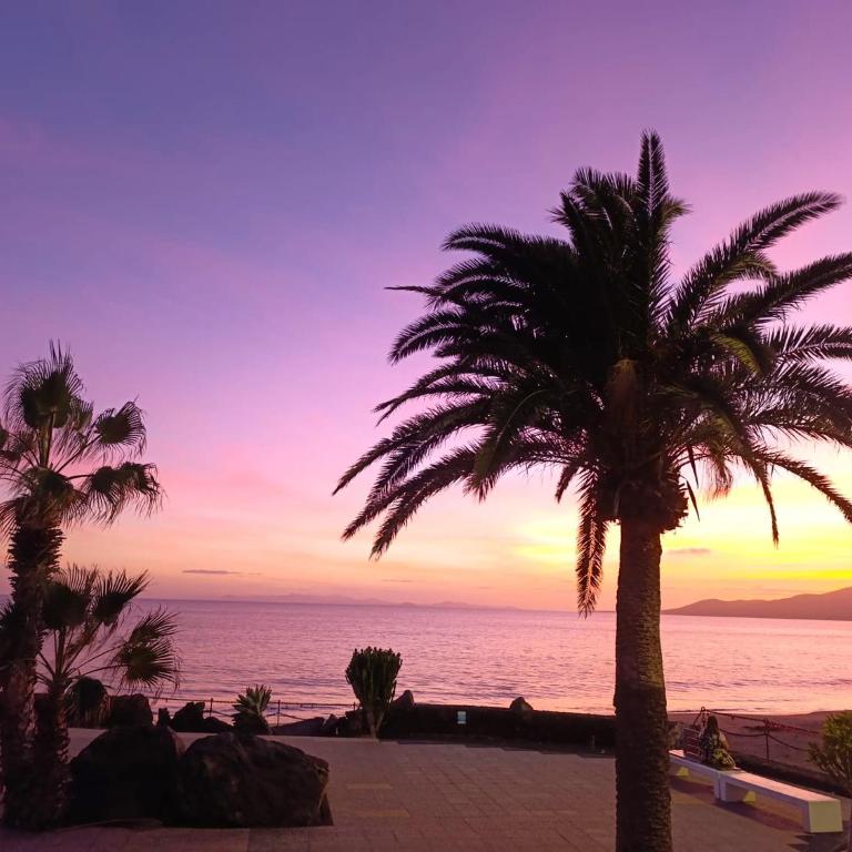 La Marea en Puerto del Carmen - Apartamento de 2 dormitorios - 21