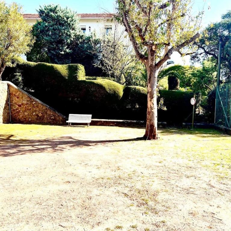 StudioCalifornia-Parking-Plages 15 min walk - Appartement - 33