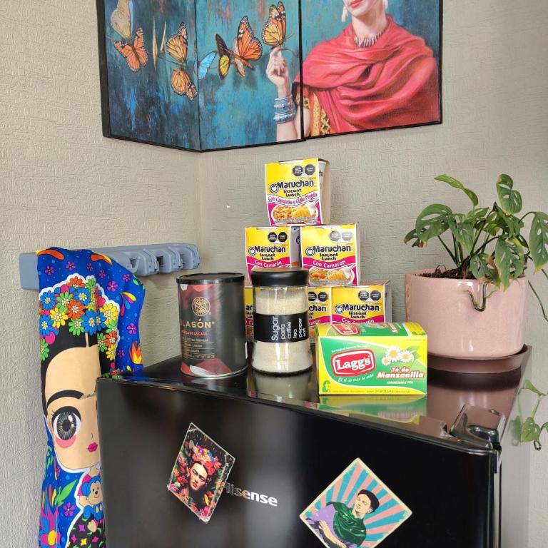 Depa de Frida frente al Aeropuerto 2 habitaciones - Apartamento de 2 dormitorios - 15