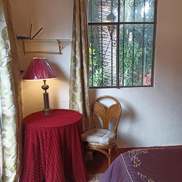 Suite Camelia - Apartamento de 1 dormitorio - 4