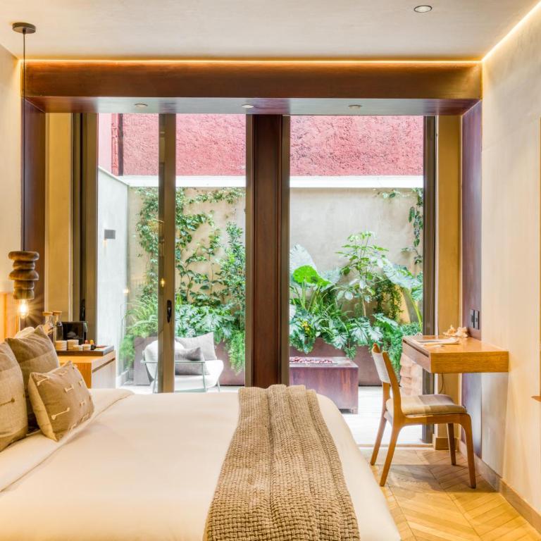 Casa Tasman - Suite Junior - 4