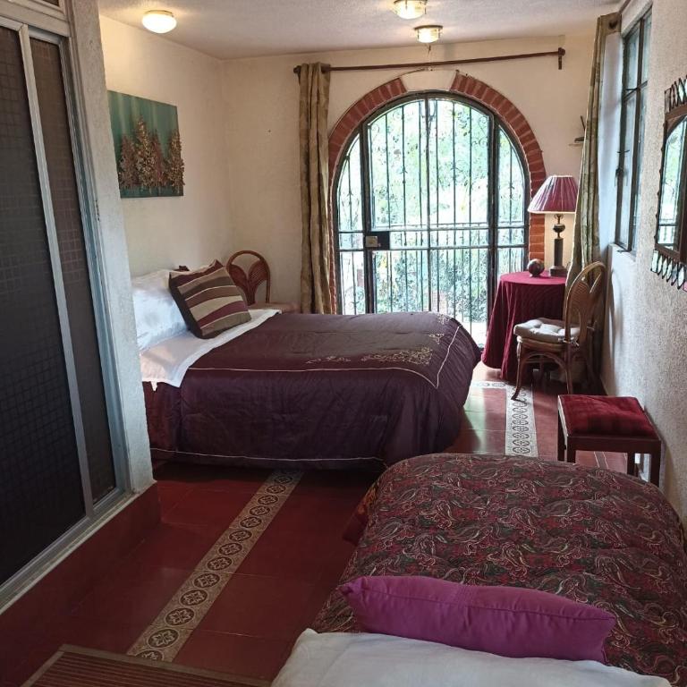 Suite Cenzontle - One-Bedroom Apartment - 2
