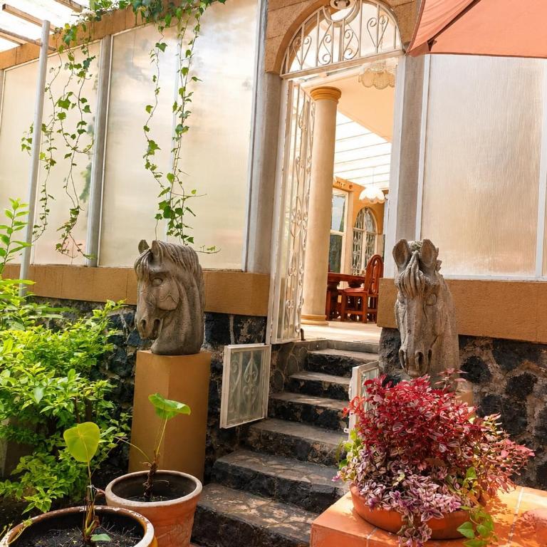Suite Izta - Apartamento de 1 dormitorio - 15