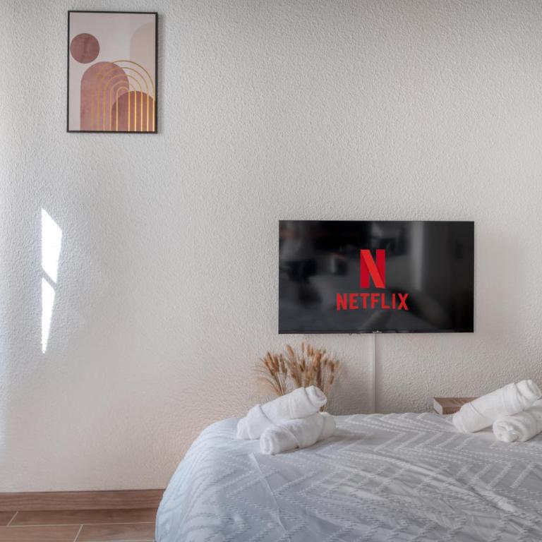 L'authentique Orléanais-Centre-Netflix-Wifi - Appartement 1 Chambre - 5