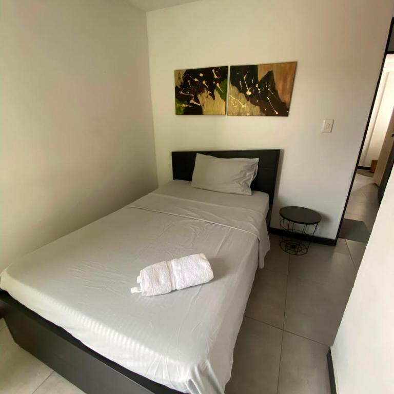 Apartaestudios amoblados en el norte de Cali - Two-Bedroom Apartment - 6