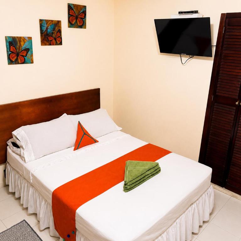 Apartment Angeluz - Apartamento de 2 dormitorios - 20