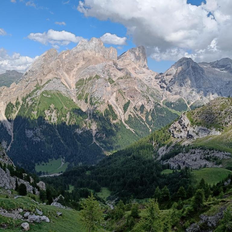 Orchidea Suite & SPA Apartments - Chalet - 12
