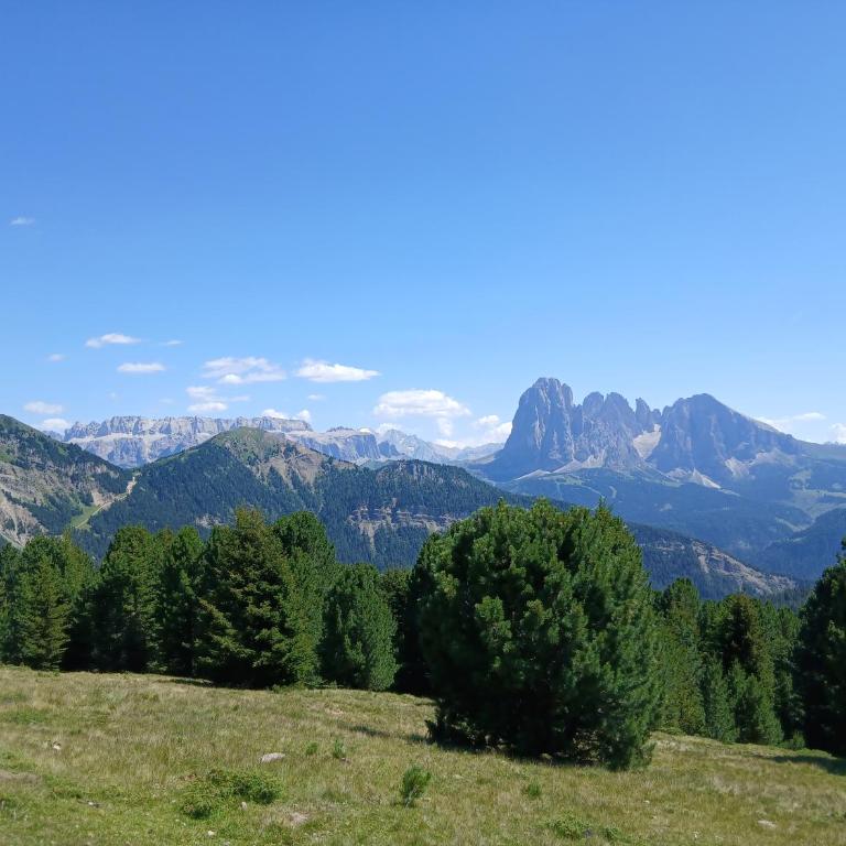 Apartment Cësa Vernel - Appartamento con 3 Camere da Letto - 22