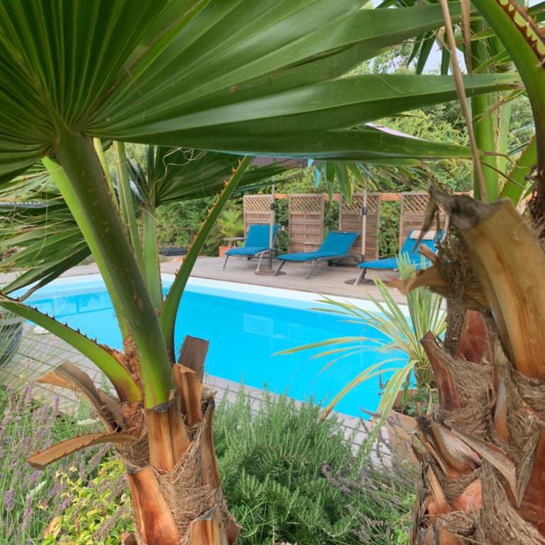 Villa la quietude - Studio - Vue sur Piscine - 13