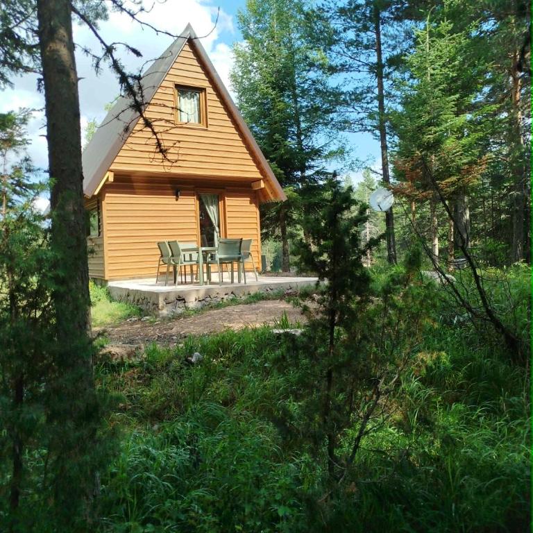 Durmitor Forest Retreat - Kuća sa 2 Spavaće Sobe - 1