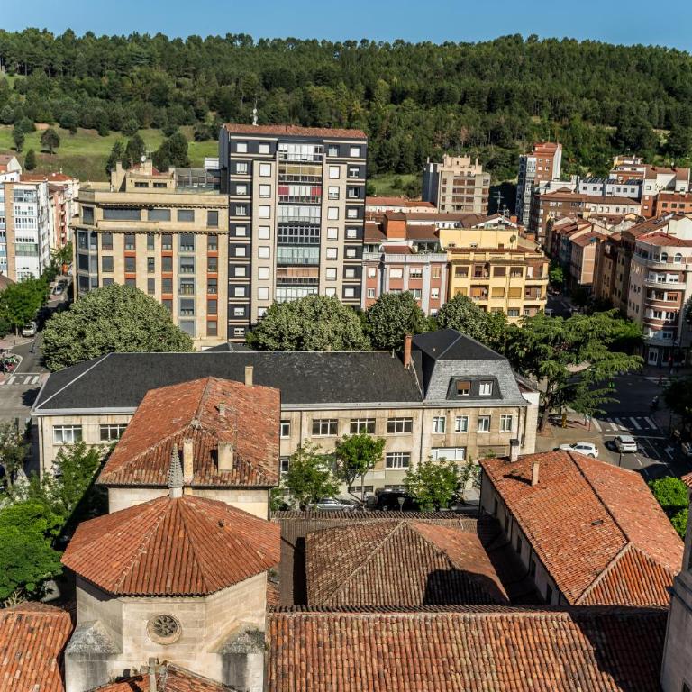 Alfonso X - Apartamentos Burgos Deluxe - Apartamento Ático - 27