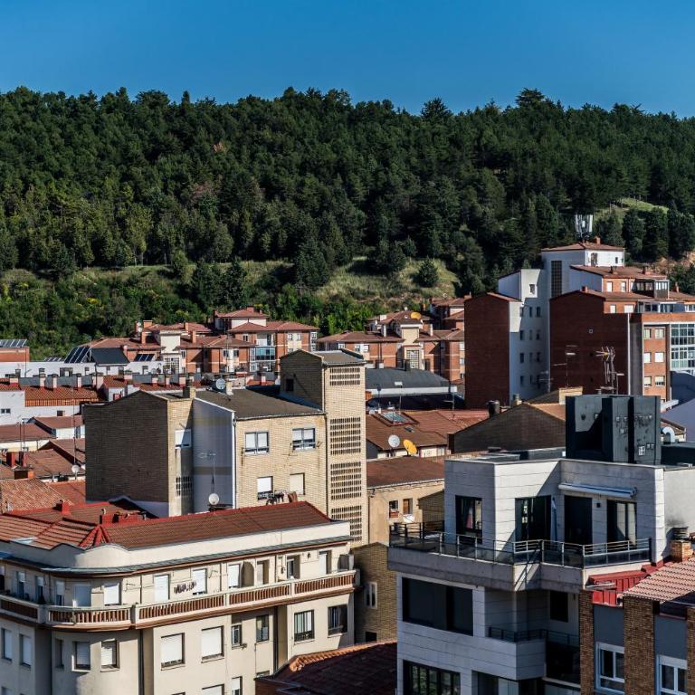 Alfonso X - Apartamentos Burgos Deluxe - Apartamento Ático - 26