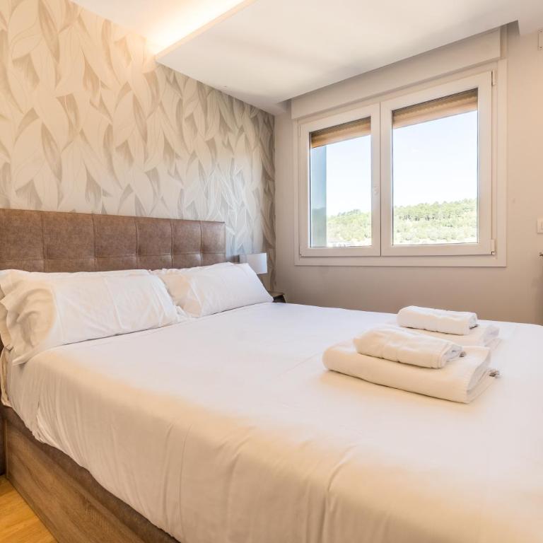 Alfonso X - Apartamentos Burgos Deluxe - Apartamento Ático - 17