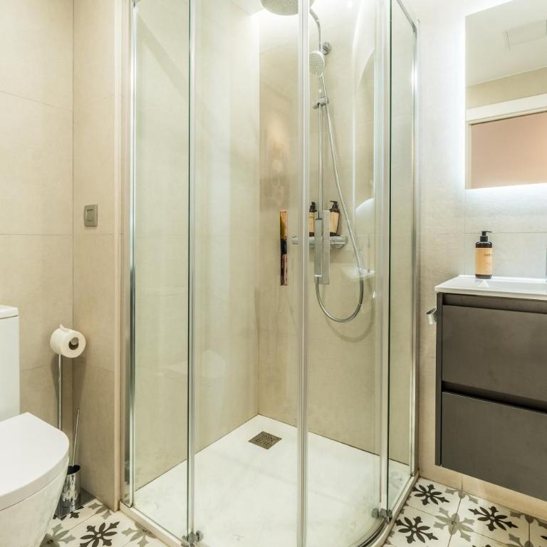 Alfonso X - Apartamentos Burgos Deluxe - Apartamento Ático - 23