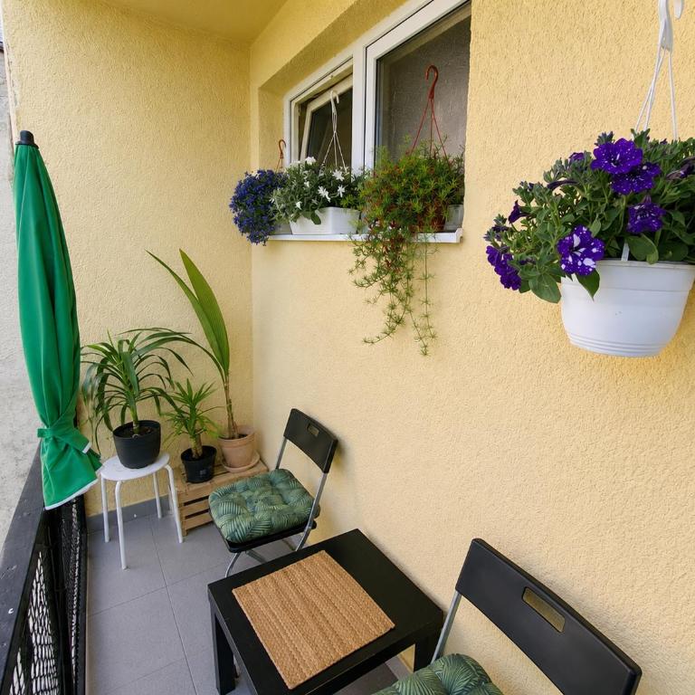 Apartment Admiral - Apartman sa 1 Spavaćom Sobom - 7