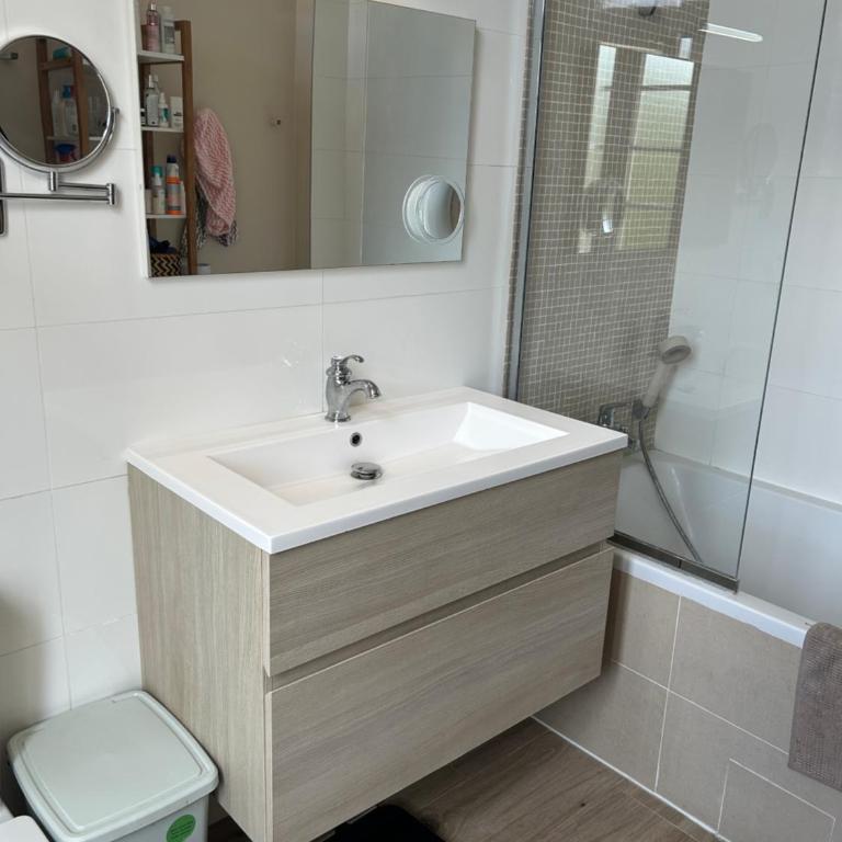 Large 4BR Cannes Villa w Private Garden - Villa - 19