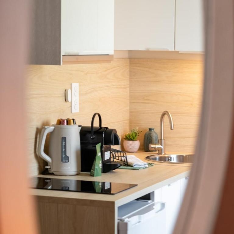 133 - Cap Sud - 4 pers, Parking, Clim, proche mer - Studio - 12