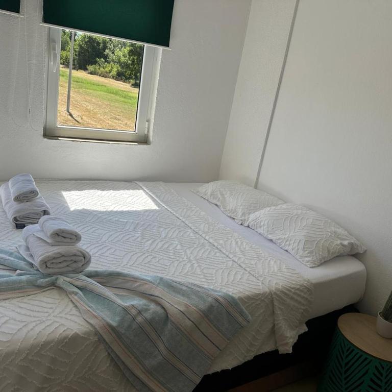 Liza Apartment - Apartman sa 2 Spavaće Sobe - 17