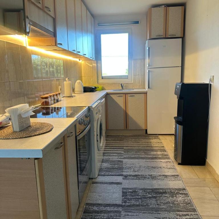 Liza Apartment - Apartman sa 2 Spavaće Sobe - 23