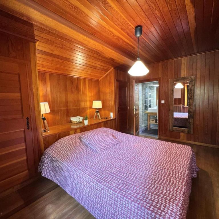 Le Panestrel (chalet) - CHALET LE PANESTREL MAE-2823 - Chalet - 15
