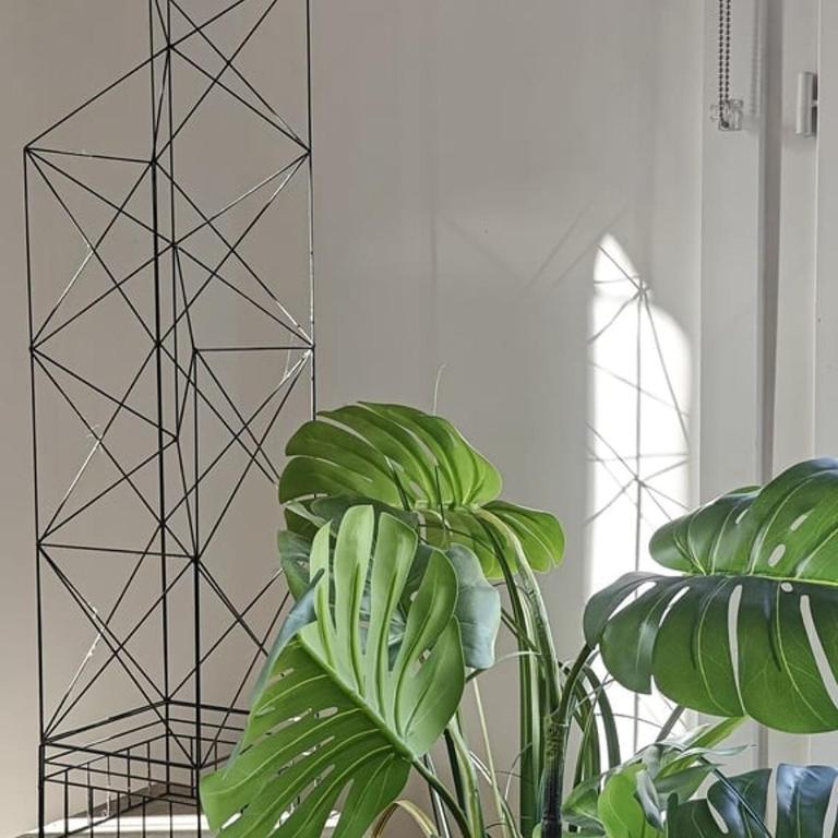 Saint-Germain-Des - Appartement 1 Chambre - 32