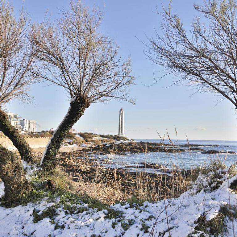 Escale Bleue - Studio with Sea View - 14