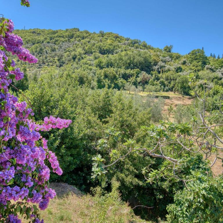 Calm apartment in Lepetane - Apartman sa 2 Spavaće Sobe - 41