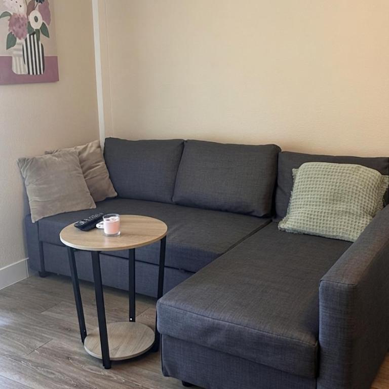 Très joli T2 de 40m2 plage à 300m clim, balcon, garage, Cosy et Tout confort - Appartamento con 1 Camera da Letto - 13