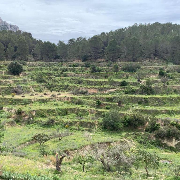 Finca del Ter - Casa - 5