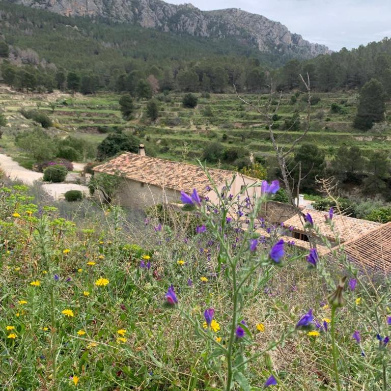 Finca del Ter - Casa - 7