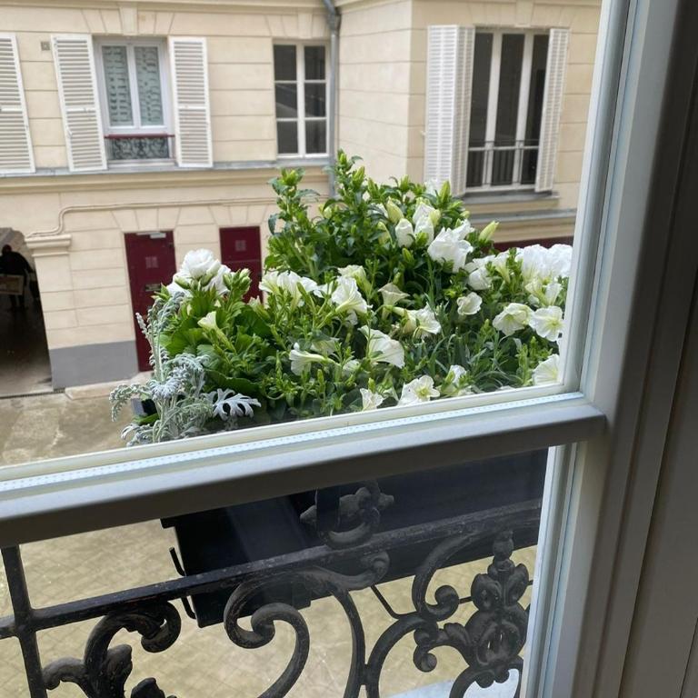 Elegant Retreat - Appartement 1 Chambre - 17
