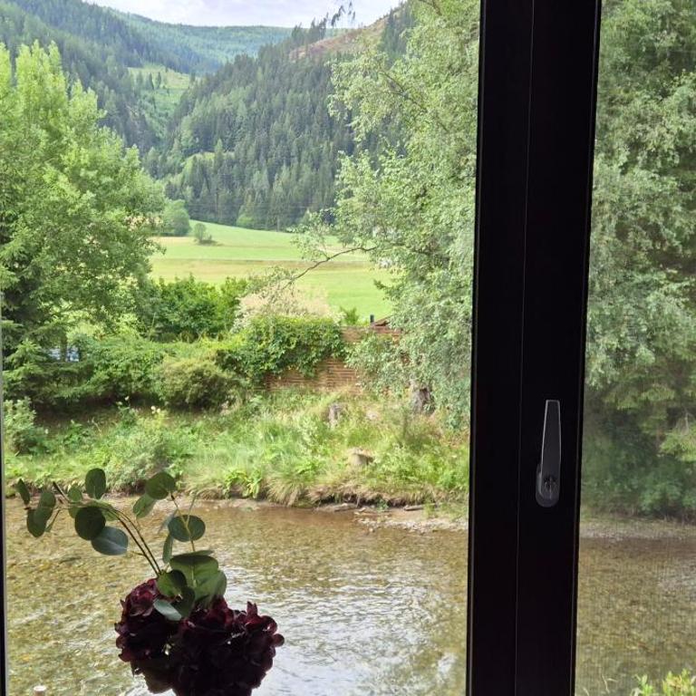 Haus Zedlacher - Deluxe Apartment mit 1 Schlafzimmer und Gartenblick - 6