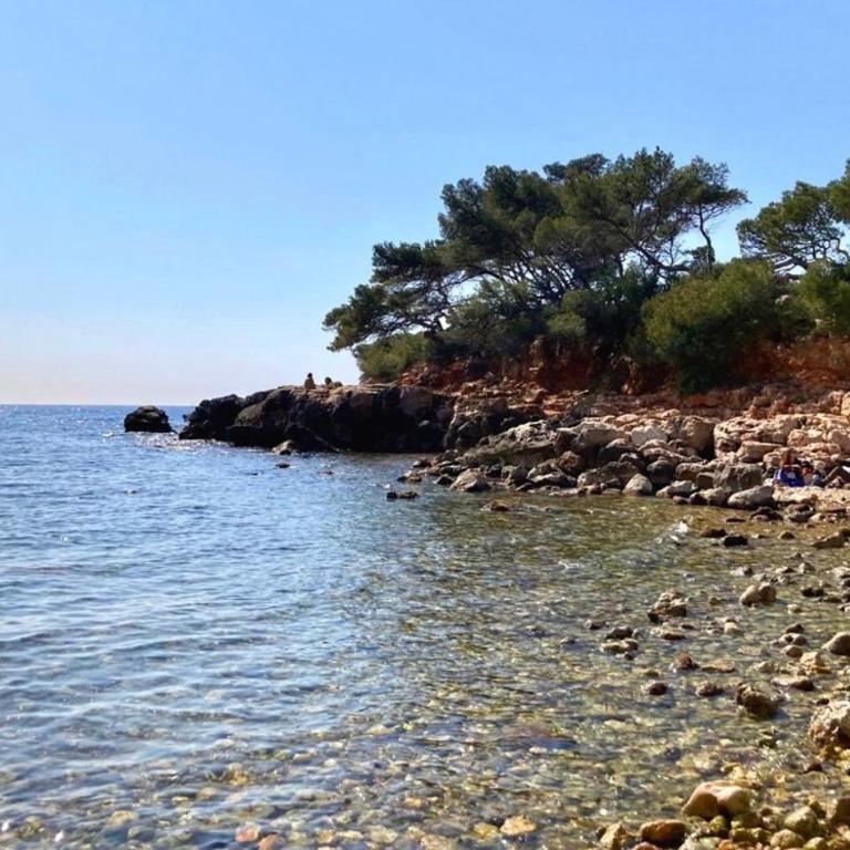 Villa club à proximité des calanques - Casa con 1 dormitorio - 4