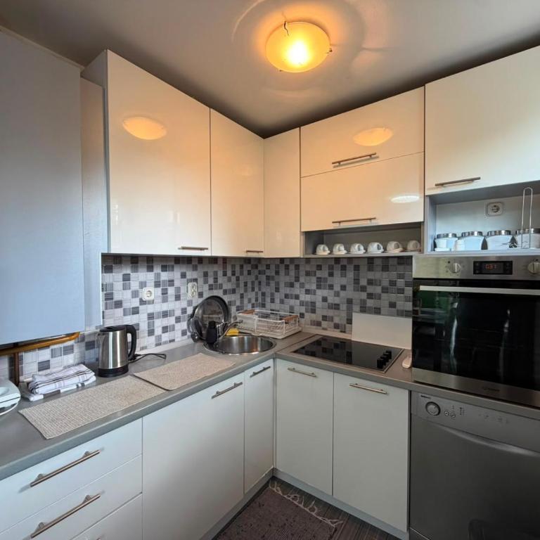 AjRi Apartment Sarajevo - Apartman sa 1 Spavaćom Sobom - 10