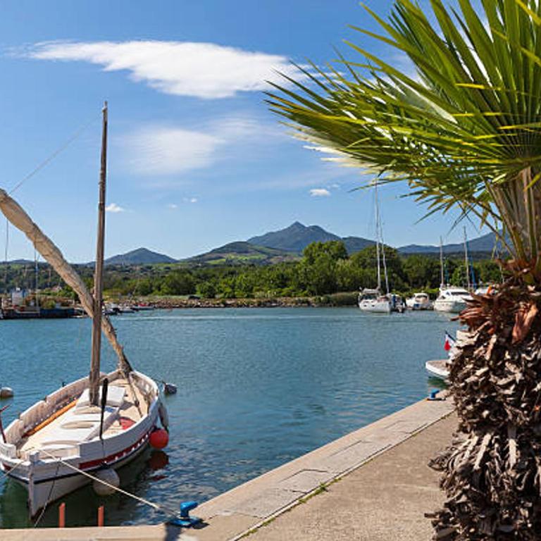 Pavillon climatisé avec terrasse, 10 min. de la plage, parking privatif inclus, tout confort - FR-1-732-45 - Maison de Vacances - 16