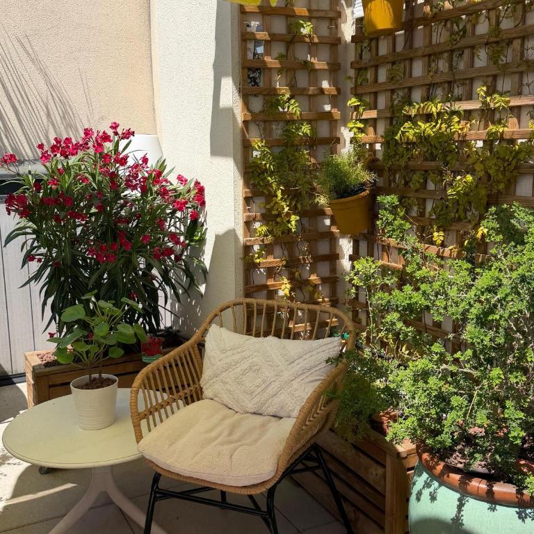 Appartement T3 avec grande terrasse et vue sur les Albères - FR-1-732-85 - Apartment - 8
