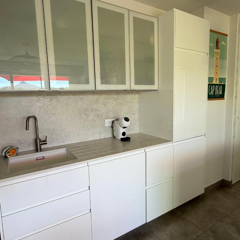 Appartement T3 avec grande terrasse et vue sur les Albères - FR-1-732-85 - Apartment - 9
