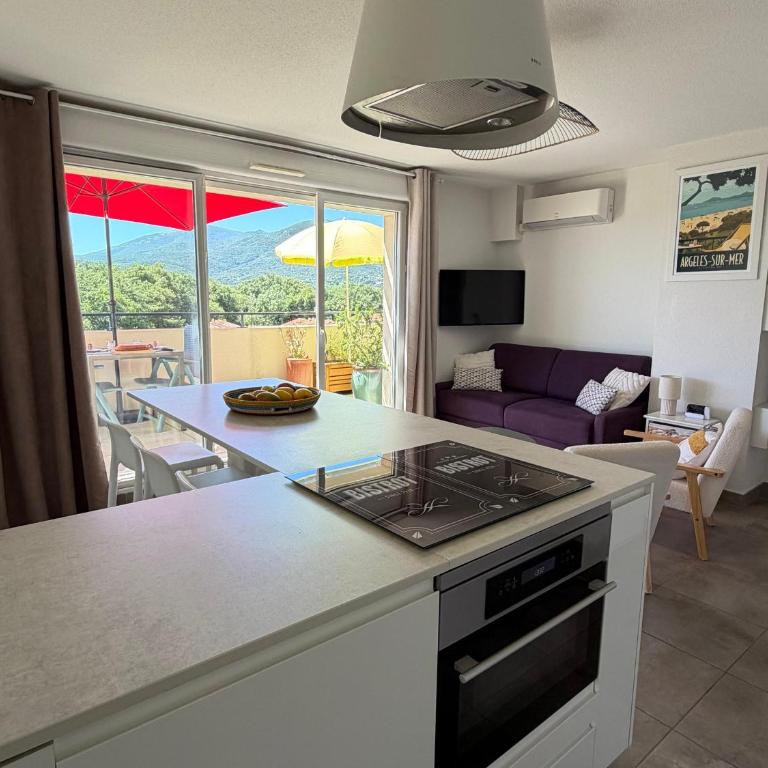 Appartement T3 avec grande terrasse et vue sur les Albères - FR-1-732-85 - Apartment - 10