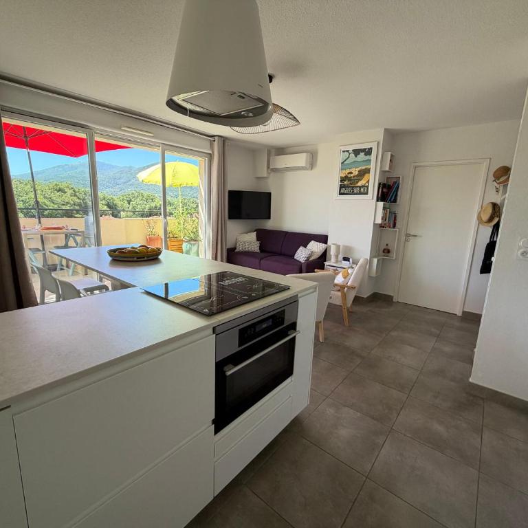 Appartement T3 avec grande terrasse et vue sur les Albères - FR-1-732-85 - Apartment - 12