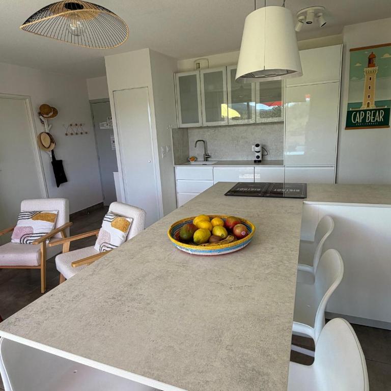 Appartement T3 avec grande terrasse et vue sur les Albères - FR-1-732-85 - Apartment - 14