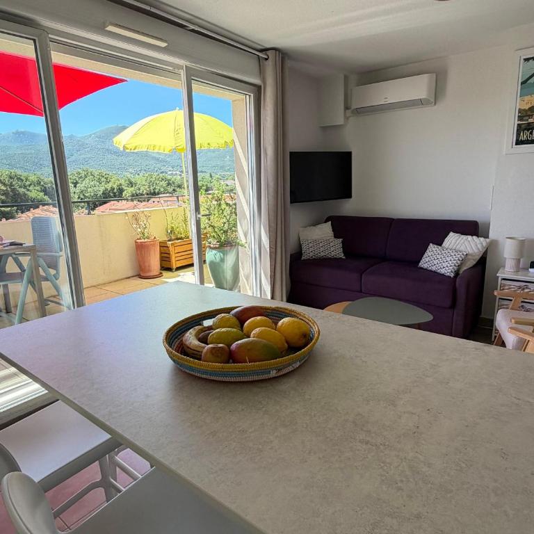 Appartement T3 avec grande terrasse et vue sur les Albères - FR-1-732-85 - Apartment - 15