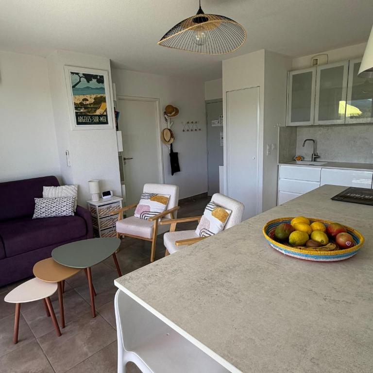 Appartement T3 avec grande terrasse et vue sur les Albères - FR-1-732-85 - Apartment - 16